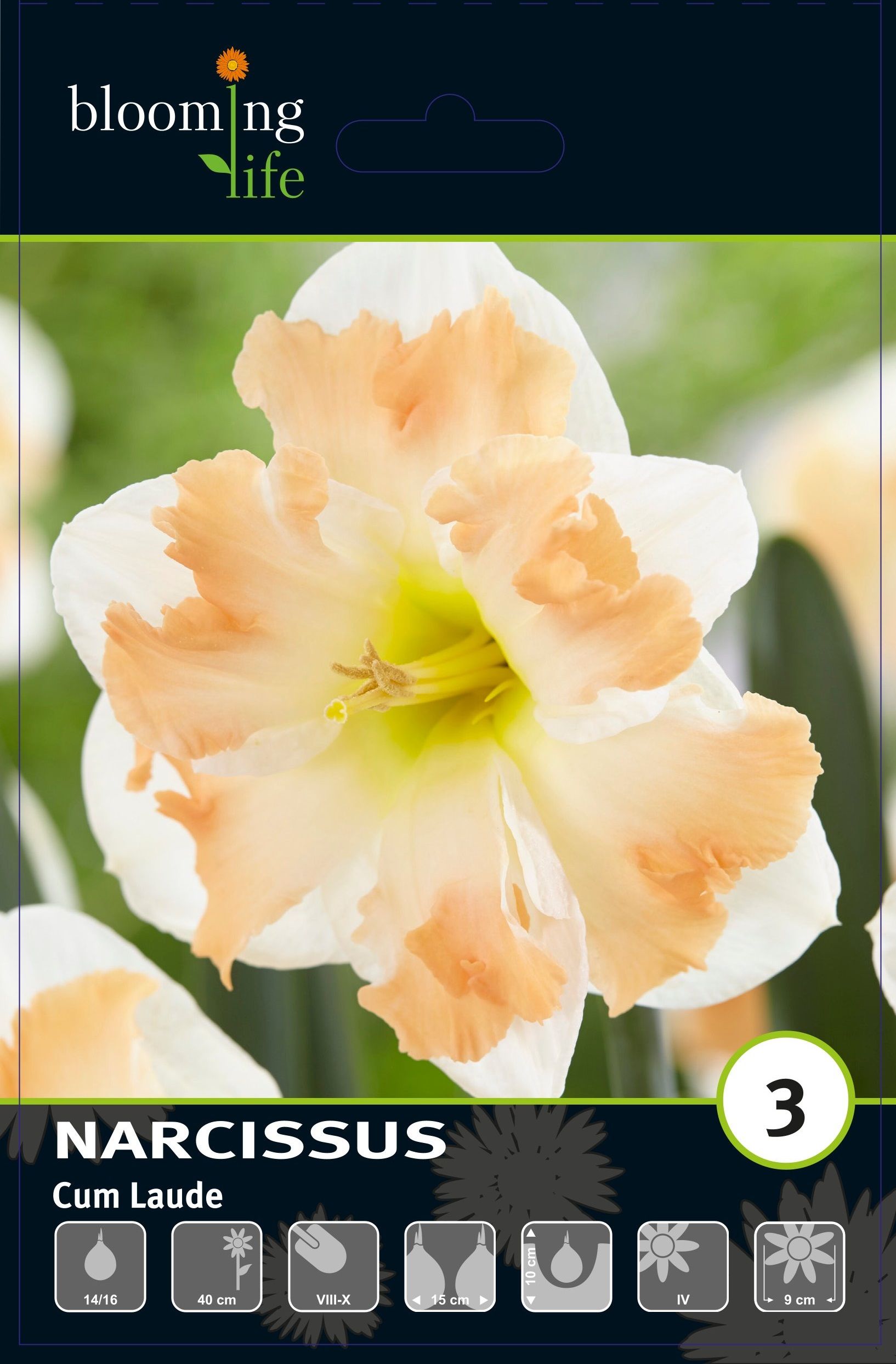 Изображение товара Нарцисс орхидный Кум Лауд 3 шт. декоративные цветы для сада и дома