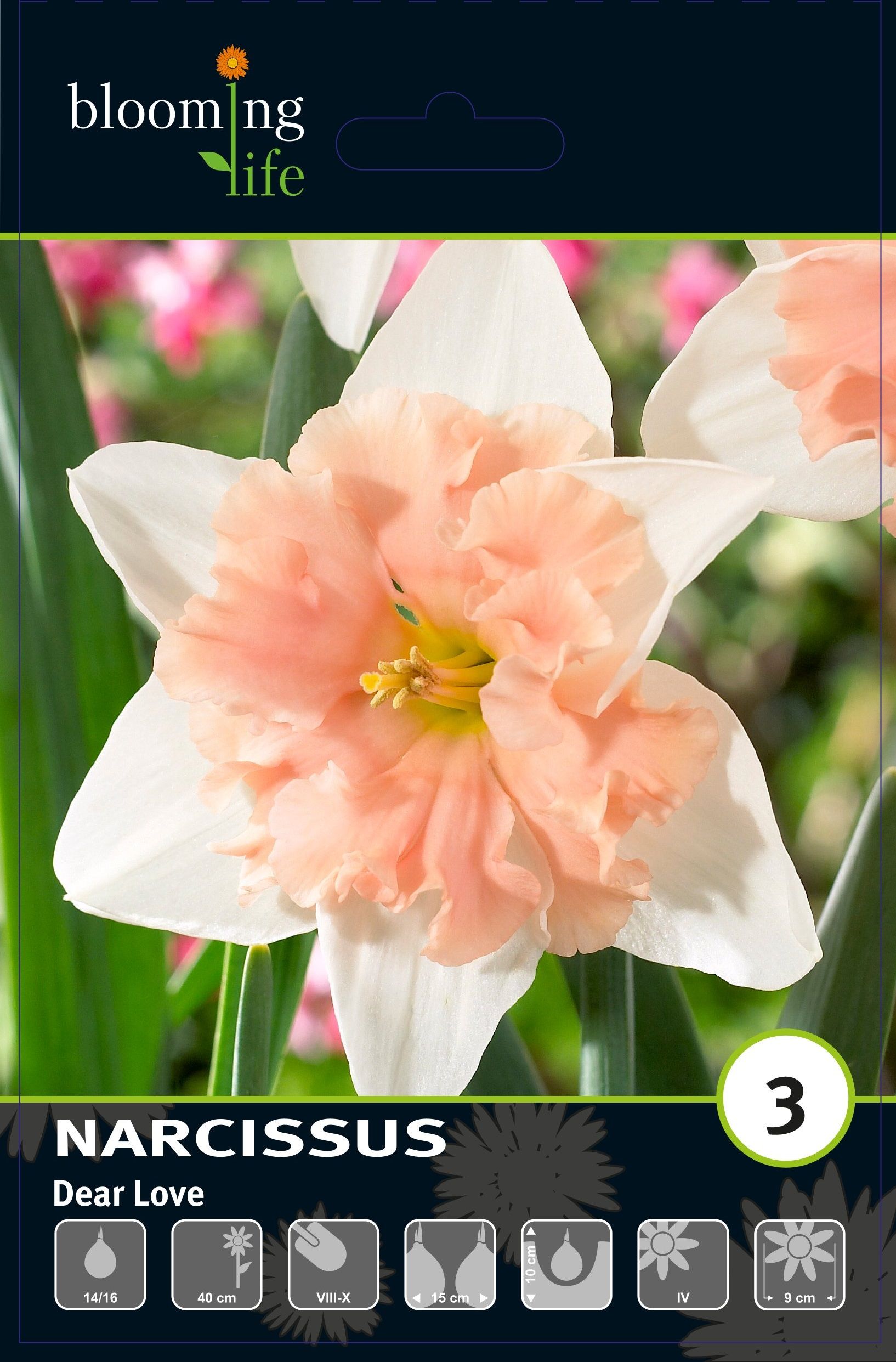 Изображение товара Нарцисс орхидный Диар Лав, 3 шт.