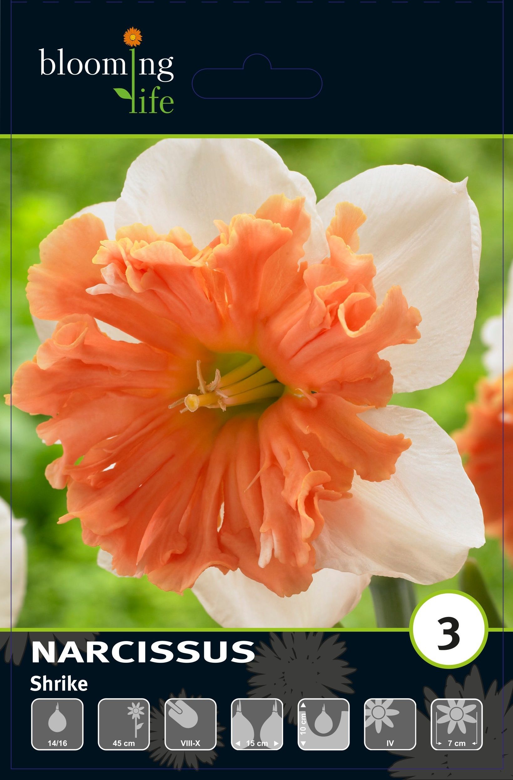 Изображение товара Нарцисс орхидный Шрайк 3 шт. декоративные цветы для интерьера