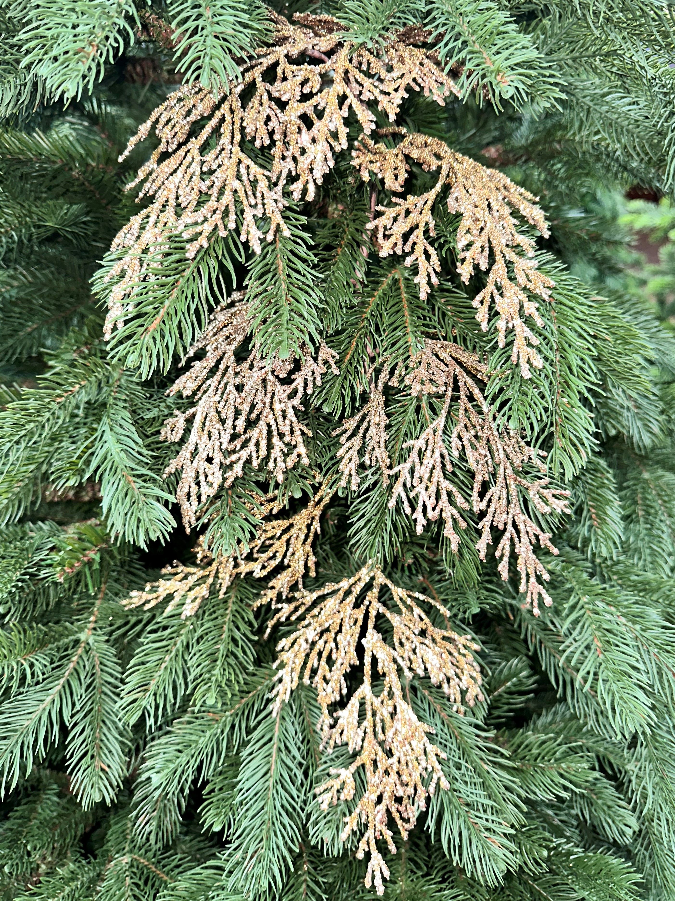 Изображение товара ВЕТОЧКА С БЛЕСТЯЩИМИ ЛИСТЬЯМИ КОРИЧНЕВАЯ 84 СМ ПЛАСТИК