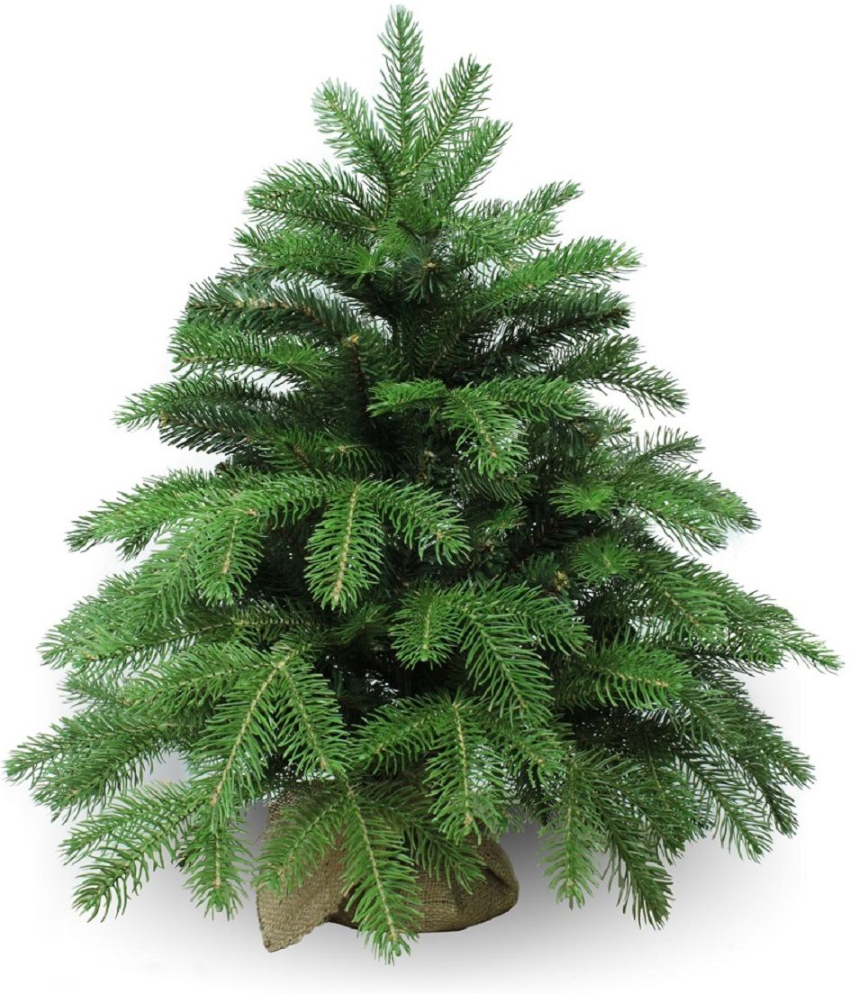 Изображение товара Искусственная ель BEATREES ANSON настольная 60 см с ягодами и негорючими ветками