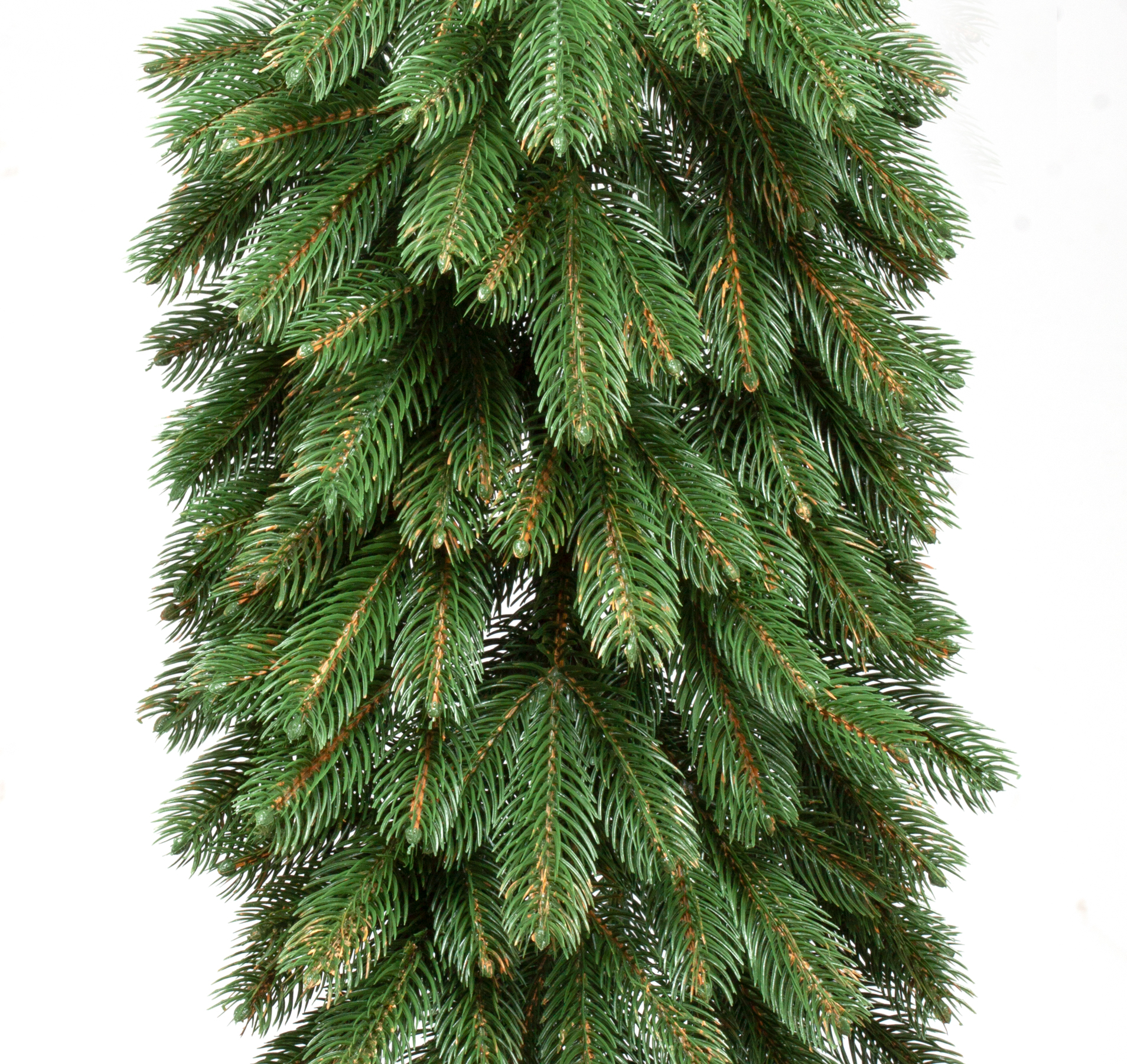 ель северная 180 см царь. царь елка ель северное сияние 1. царь елка северное сияние 180. царь елка керри. царь елка ель северное сияние 2.