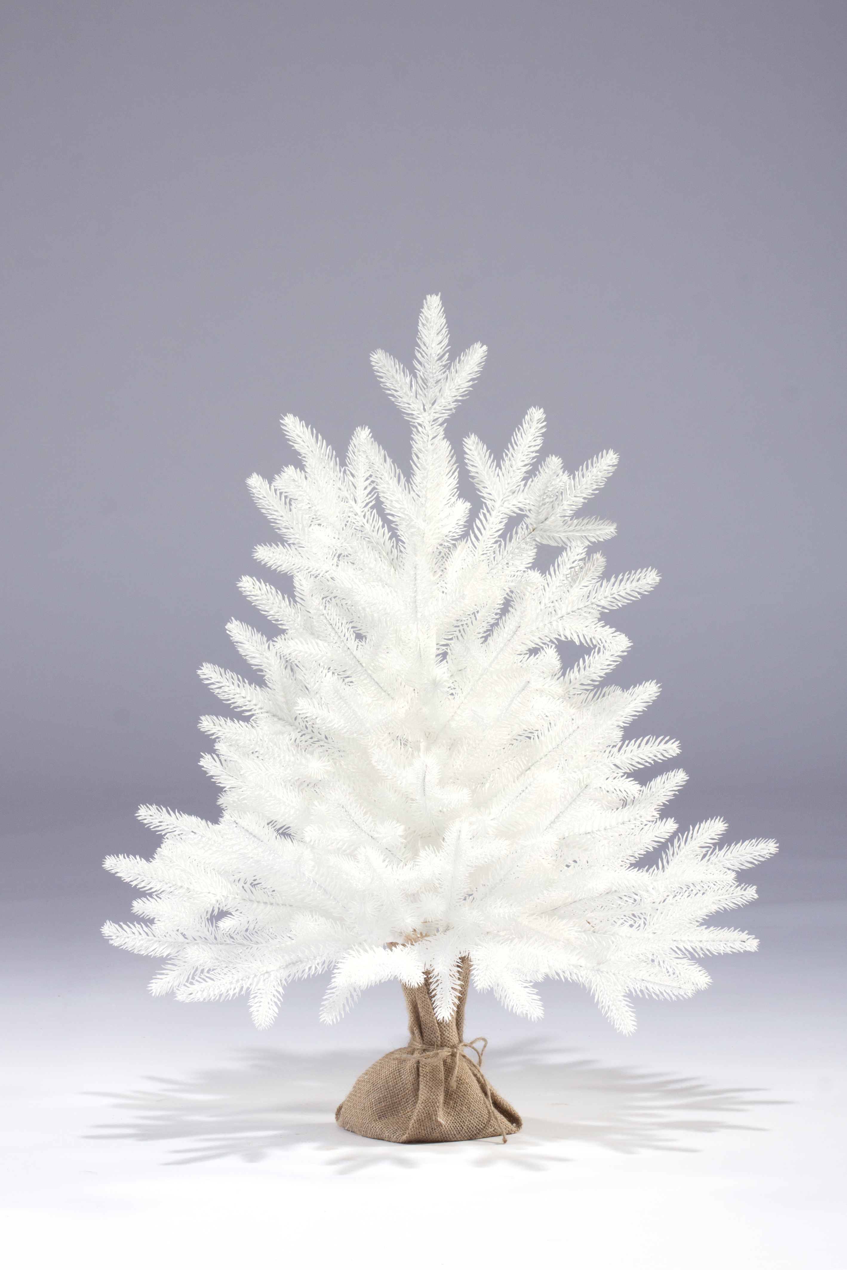 Изображение товара Искусственная ель Царь Елка Адель белая 60 см