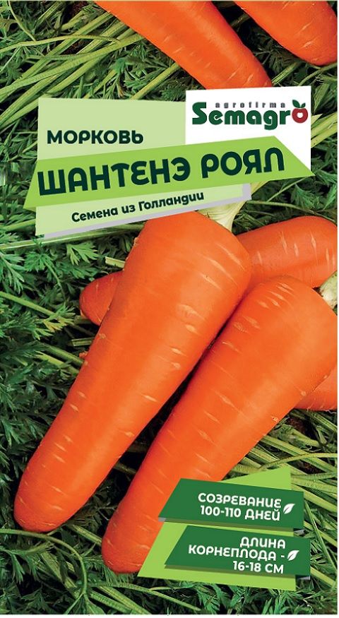 Изображение товара Семена моркови SEMAGRO ШАНТЕНЭ РОЯЛ, 0,5 г