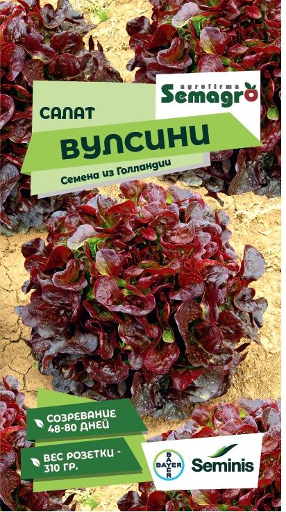 Изображение товара Семена салата SEMINIS ВУЛСИНИ F1, 15 шт