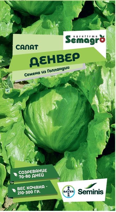 Изображение товара Семена салата SEMINIS ДЕНВЕР F1, 15 шт