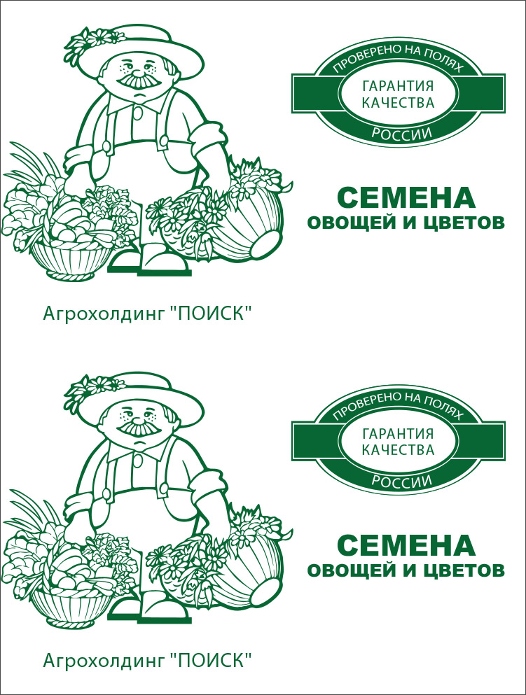 Изображение товара Семена Астра Гигантские лучи Смесь окрасок 0,3 гр 10x8 см