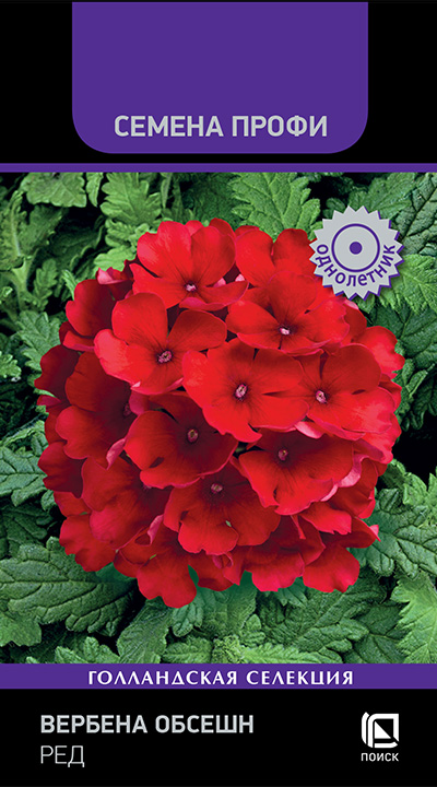 Изображение товара Семена Вербена ОбсешнРед 10 шт яркие цветы для сада
