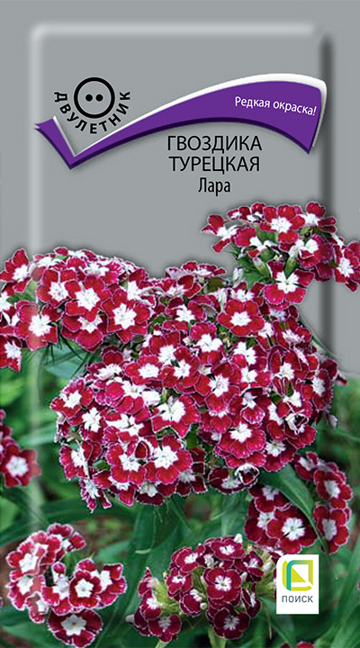 Изображение товара Семена Гвоздика турецкая Лара 0,3 гр