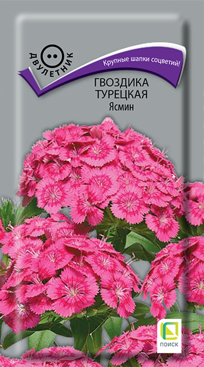 Изображение товара Семена Астра низкорослая Ковер смесь окрасок 0,3 гр H20 см