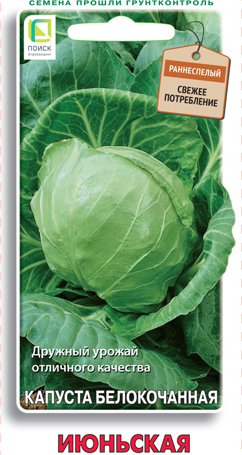 Изображение товара Семена Капуста белокочанная Июньская 0,5 гр
