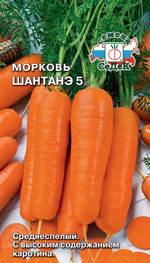 Изображение товара Семена морковь шантанэ 6