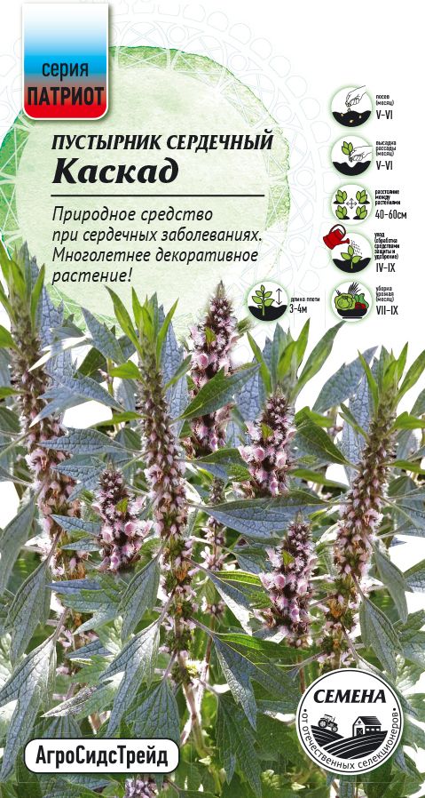 Изображение товара Пустырник сердечный Каскад 0,5г ПАТРИОТ