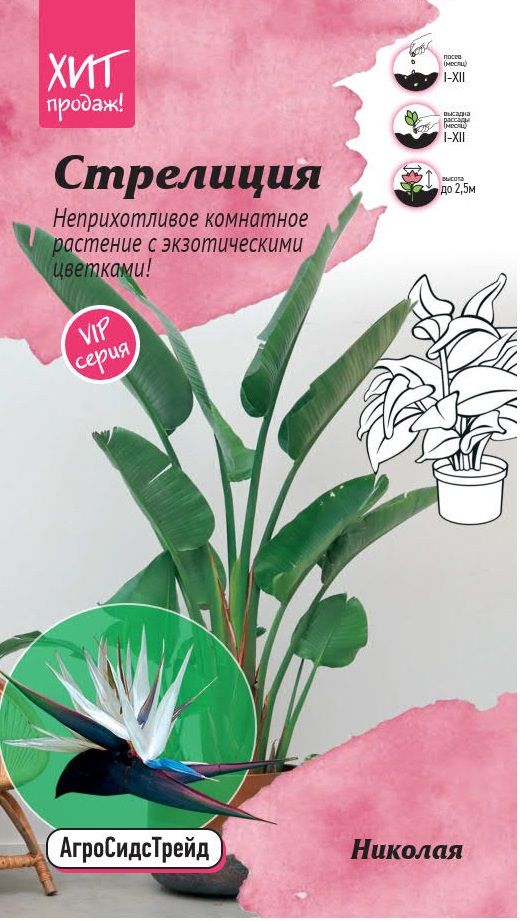 Изображение товара Стрелиция Николая 3шт АСТ