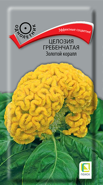 Изображение товара Семена Целозия  гребенчатая Золотой коралл 0,05 гр