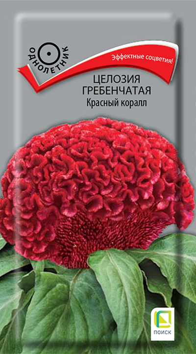 Изображение товара Семена Целозия  гребенчатая Красный коралл 0,05 гр