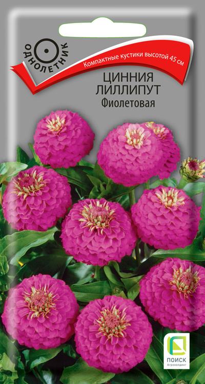Изображение товара Семена Цинния лиллипут Фиолетовая 0,4 гр