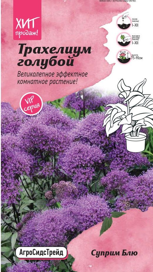 Изображение товара Трахелиум голубой Суприм Блю 5шт АСТ
