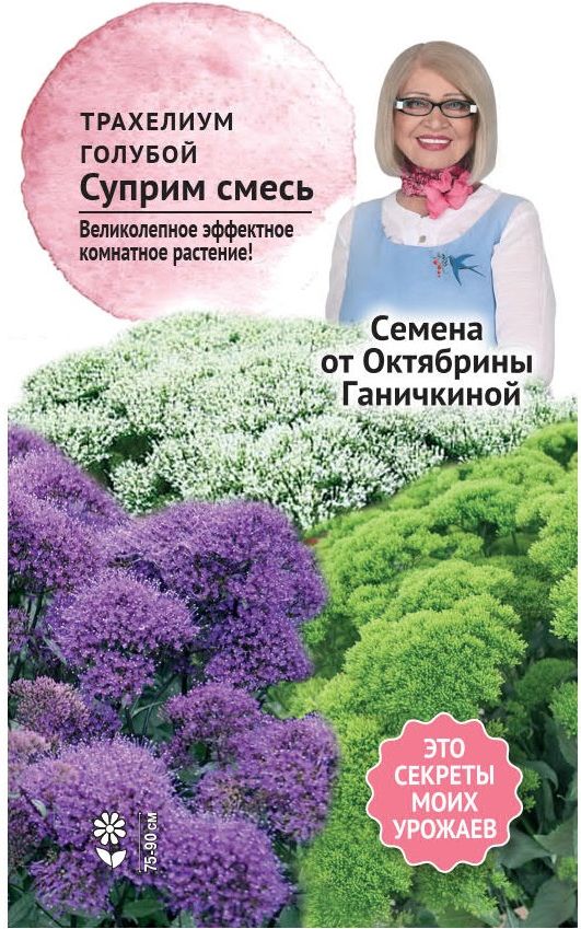 Изображение товара Трахелиум голубой Суприм Смесь 5 шт