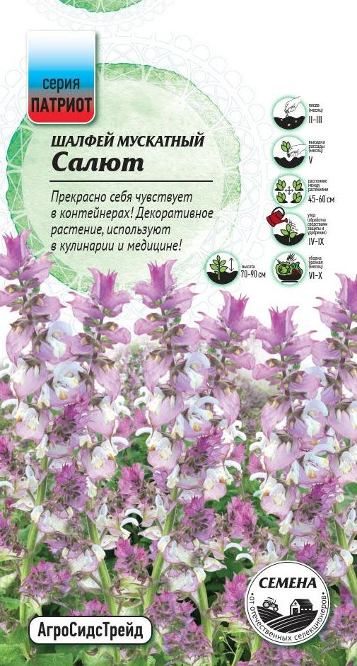 Изображение товара Шалфей мускатный Салют 0,3 г ПАТРИОТ