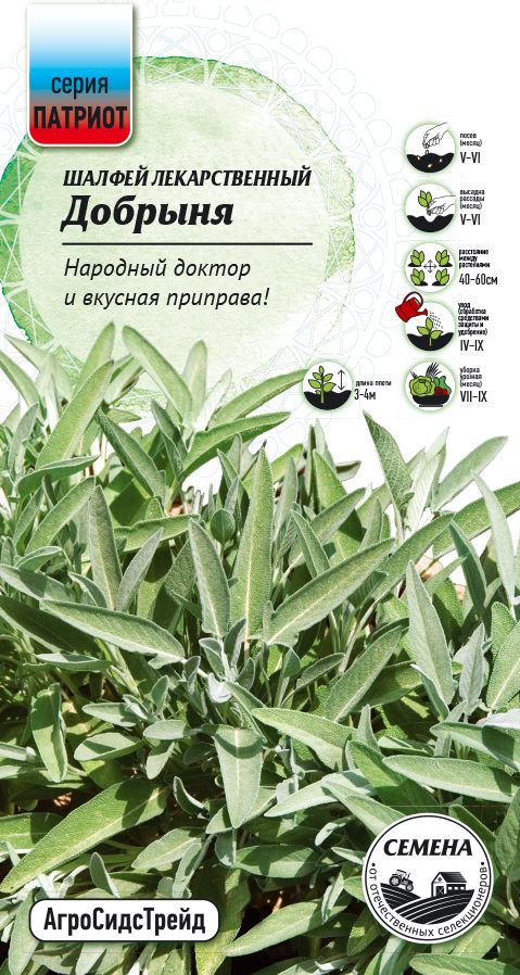 Изображение товара Шалфей лекарственный Добрыня 0,3 г ПАТРИОТ
