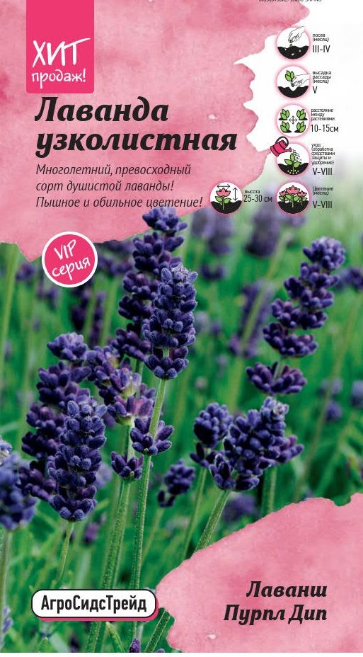 Изображение товара Семена лаванды узколистной Лаванш Пурпл Дип 6 шт агросидс трейд
