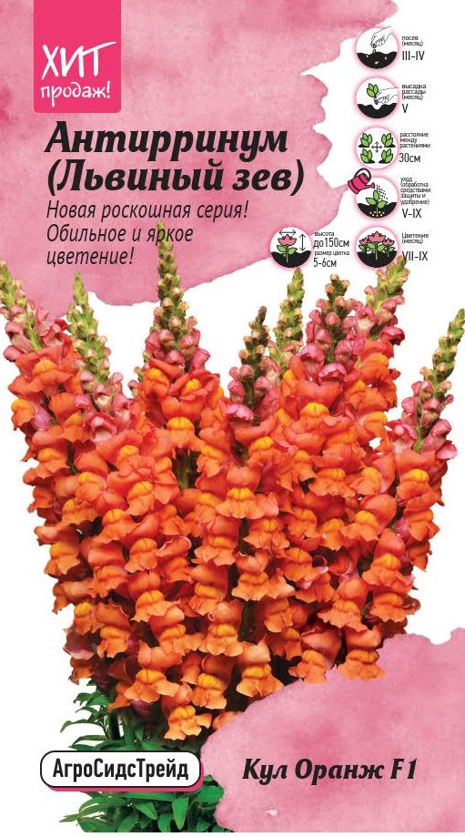 Изображение товара Антиринум Кул Оранж 10 шт семена цветов для ярких цветов
