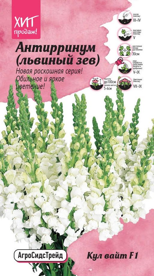 Изображение товара Антиринум Кул Вайт 10 шт от АгроСидсТрейд - семена цветов