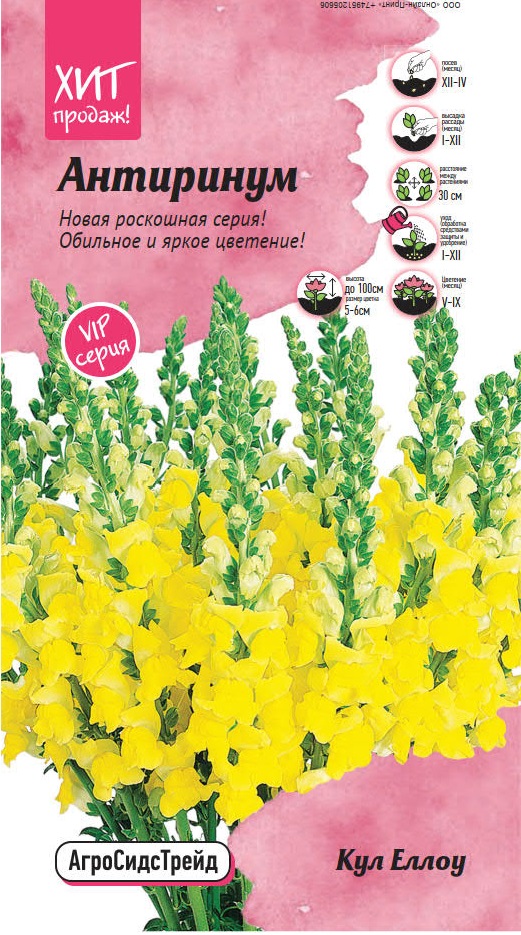 Изображение товара Антиринум Кул Еллоу 10 шт АСТ