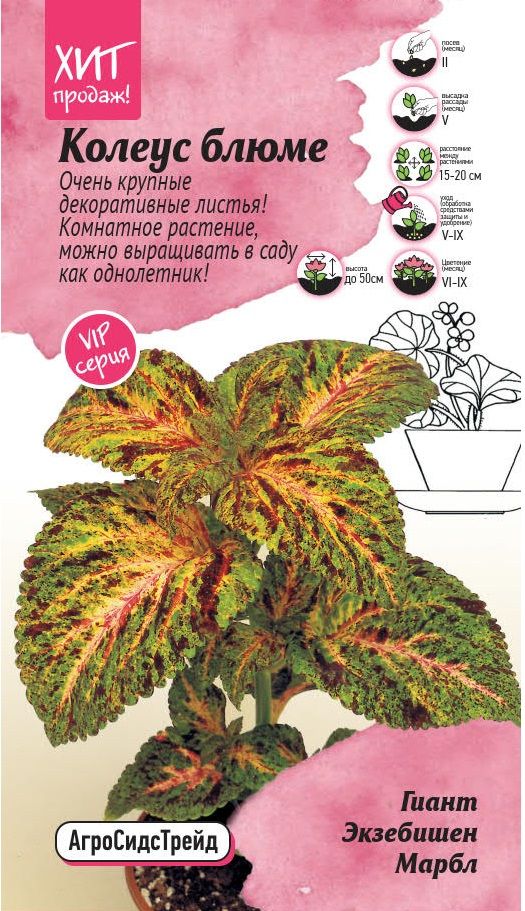Изображение товара Колеус блюме Гиант Экзебишен Марбл 10 шт АСТ - семена цветов