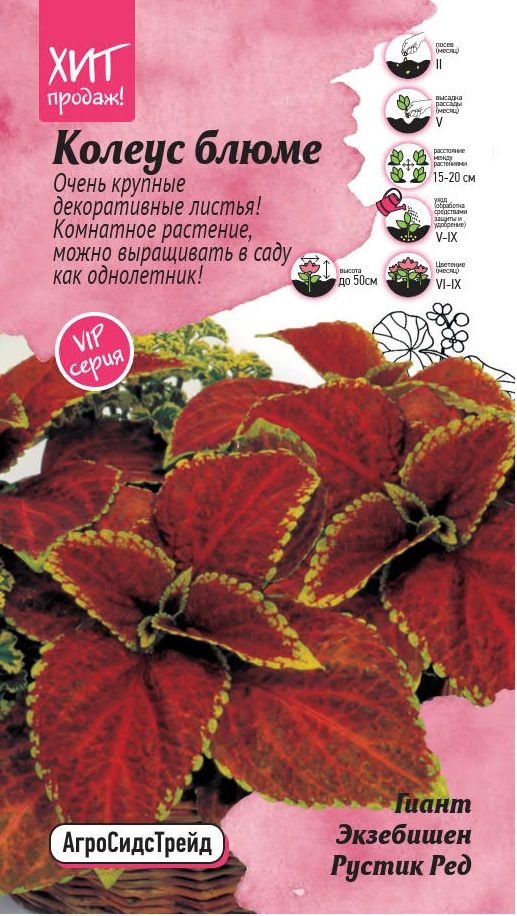 Изображение товара Колеус блюме Гиант Экзебишен Рустик Ред 10 шт АСТ
