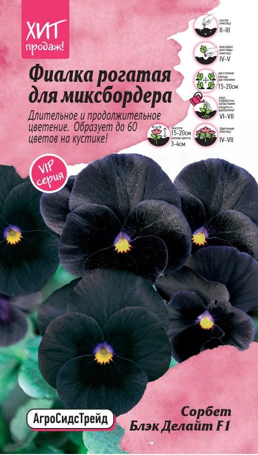 Изображение товара Фиалка рогатая Сорбет Блэк Делайт F1 5 шт АСТ