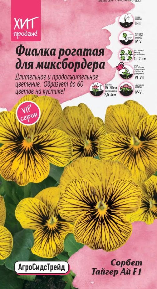 Изображение товара Фиалка рогатая Сорбет Тайгер Ай F1 5 шт АСТ