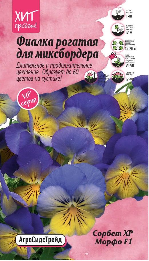 Изображение товара Фиалка рогатая Сорбет XP Морфо F1 5 шт АСТ