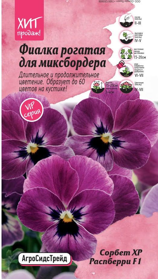 Изображение товара Фиалка рогатая Сорбет XP Распберри F1 5 шт АСТ