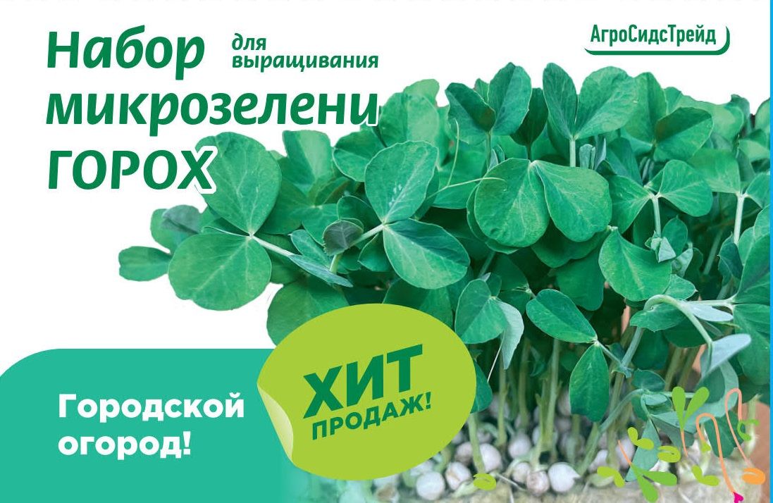 Изображение товара Набор для выращивания микрозелени ГОРОХ 30 г АСТ