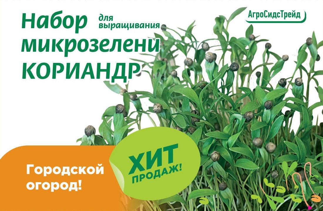 Изображение товара Набор для выращивания микрозелени КОРИАНДР  6 г АСТ