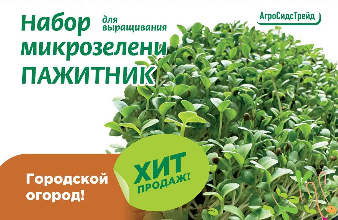 Изображение товара Набор для выращивания микрозелени ПАЖИТНИК АСТ
