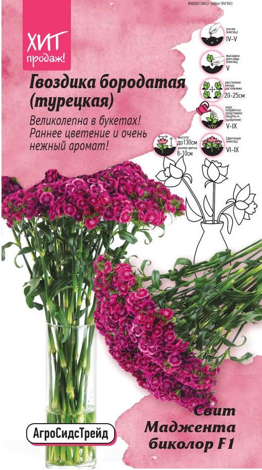 Изображение товара Семена гвоздики бородатой Свит Маджента биколор, 6 шт
