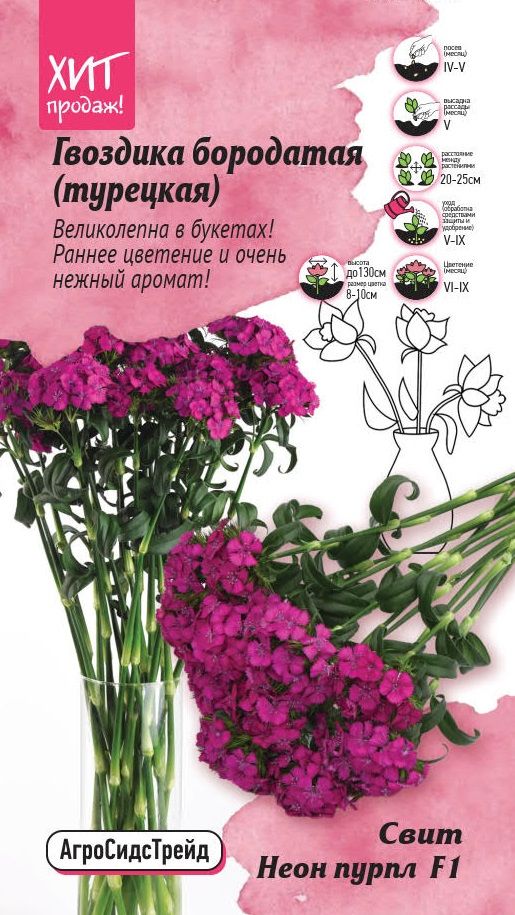 Изображение товара Гвоздика бородатая Свит Неон пурпл 6 шт - яркие семена для цветника