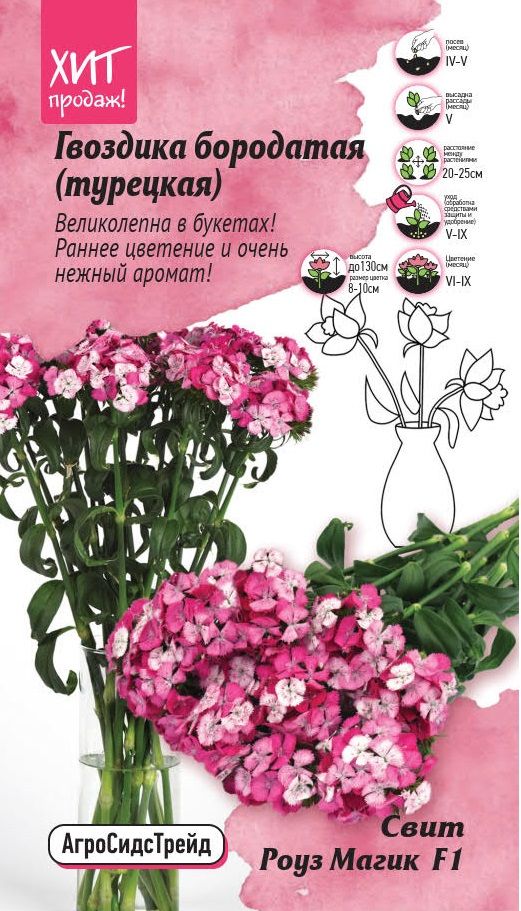 Изображение товара Гвоздика бородатая Свит Роуз Магик 6 шт от АгроСидсТрейд