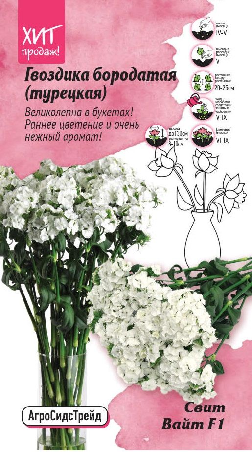 Изображение товара Гвоздика бородатая Свит Вайт 6 шт АСТ семена цветов декоративные для сада и балкона