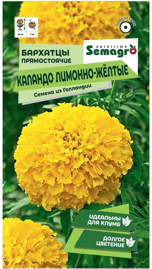 Изображение товара Семена Бархатца SEMAGRO прямостоячие Каландо лимонно-жёлтые 15 шт