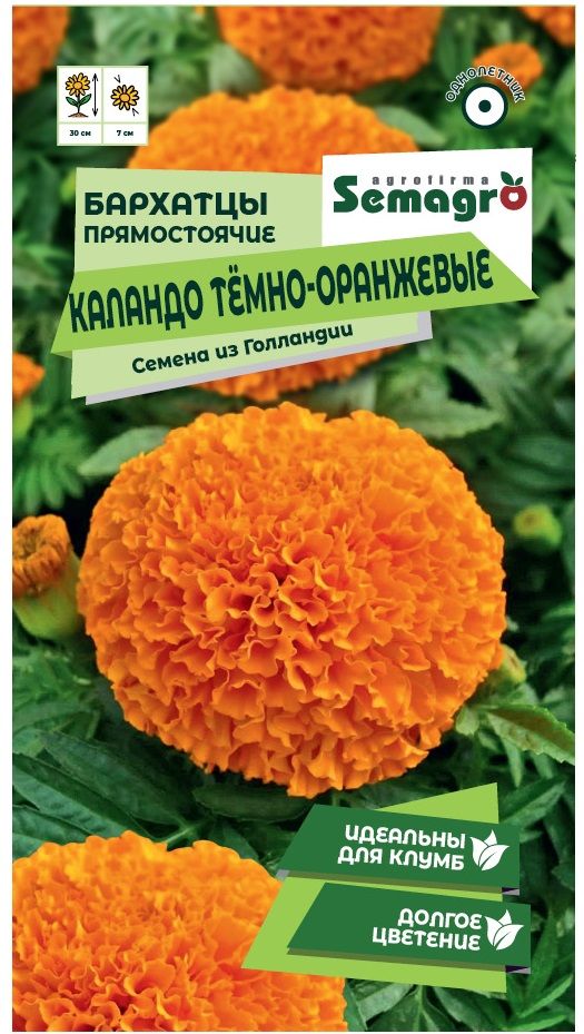 Изображение товара Семена Бархатца SEMAGRO прямостоячие Каландо темно-оранжевые 15 шт