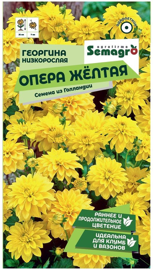 Изображение товара Семена Георгины низкорослой SEMAGRO Опера жёлтая 0,1 г