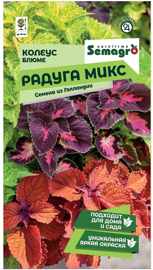 Изображение товара Семена Колеуса SEMAGRO Блюме Радуга Многоцветный 0,1 г