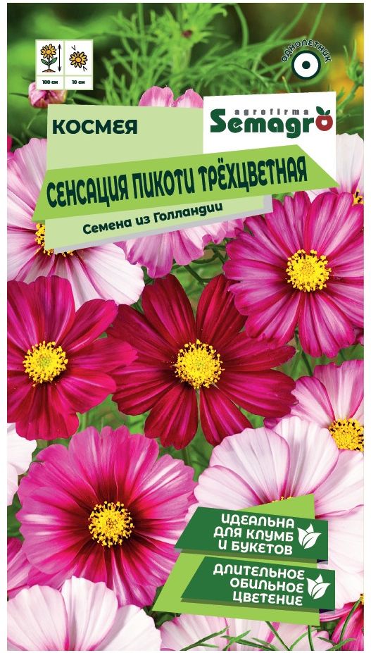 Изображение товара Семена Космеи SEMAGRO Сенсация Пикоти трёхцветная 0,3 г