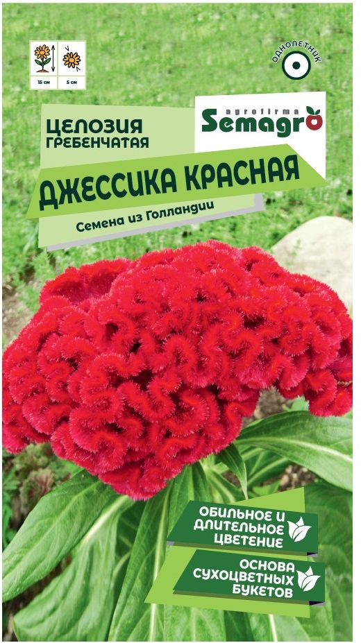 Изображение товара Семена Целозии гребенчатой SEMAGRO Джессика красная 15 шт