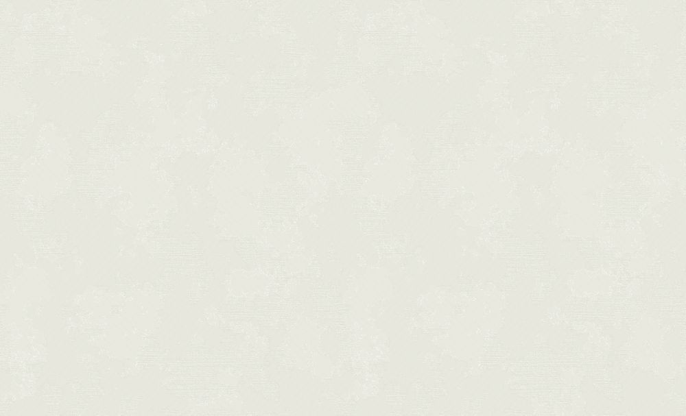 Изображение товара Обои Silk ER 60731-03 1,06х10,05 Винил в стиле soft-минимализм