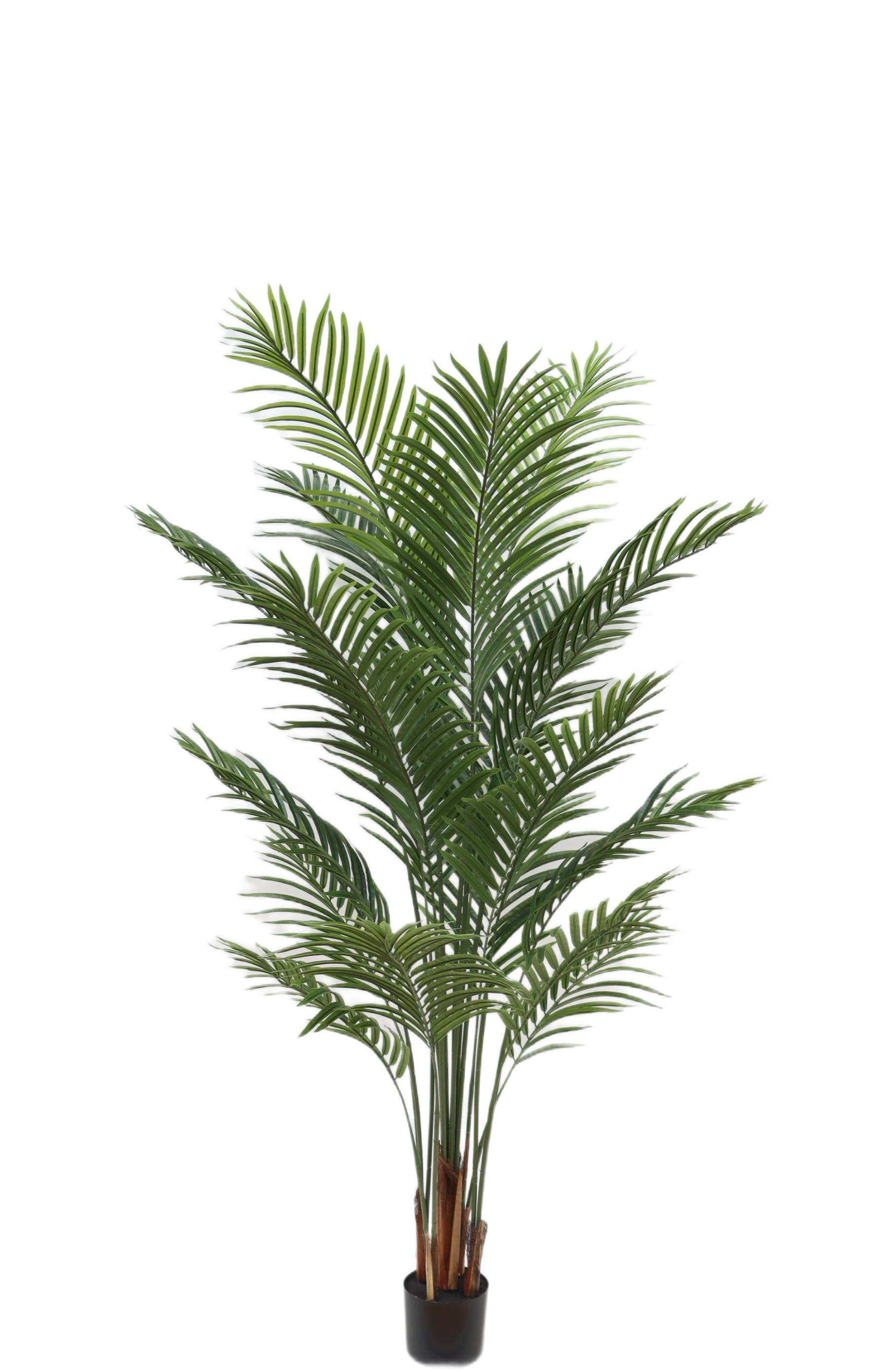 Изображение товара Искусственная пальма высотой 180 см в пластиковой емкости для интерьера